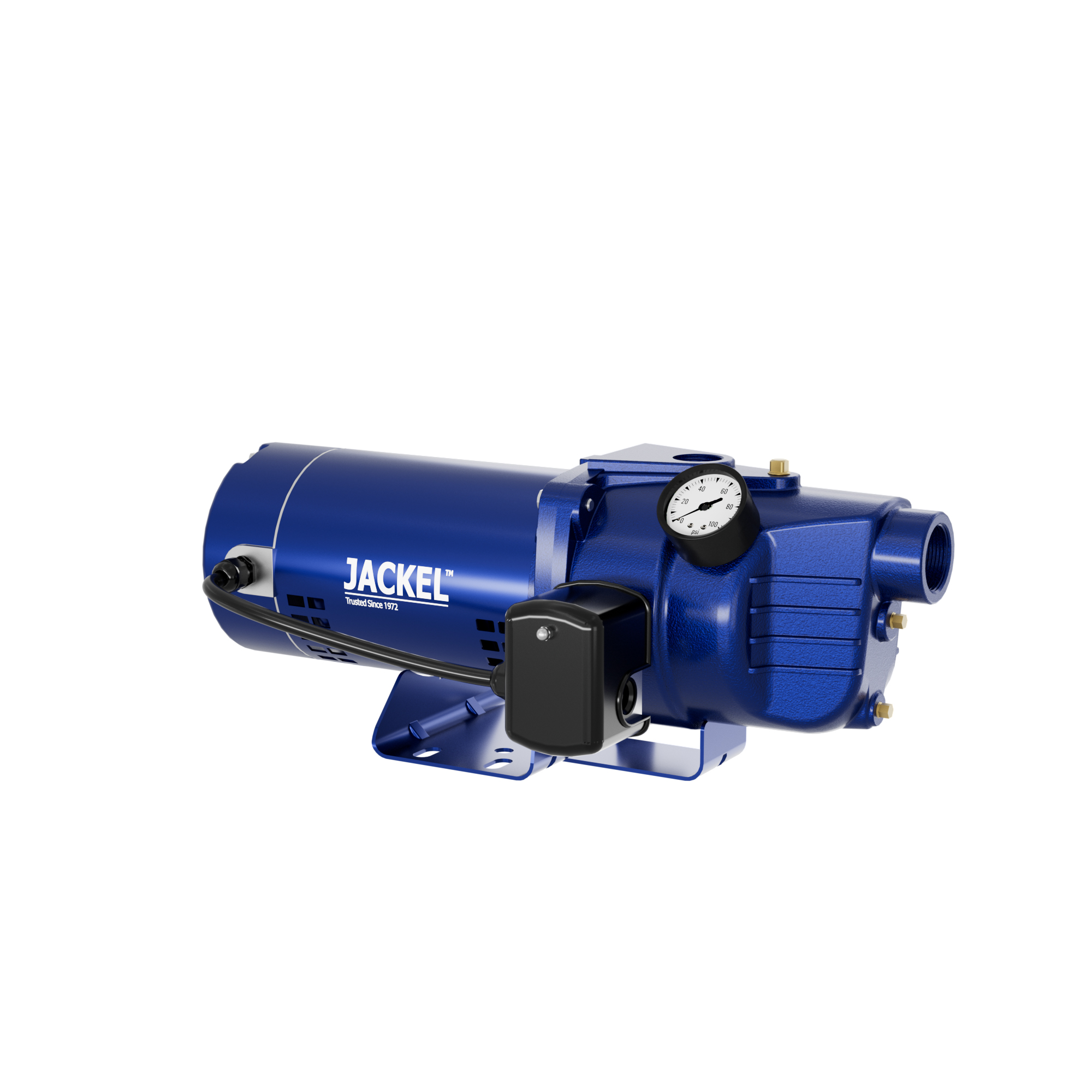 Shallow Well Jet Pump